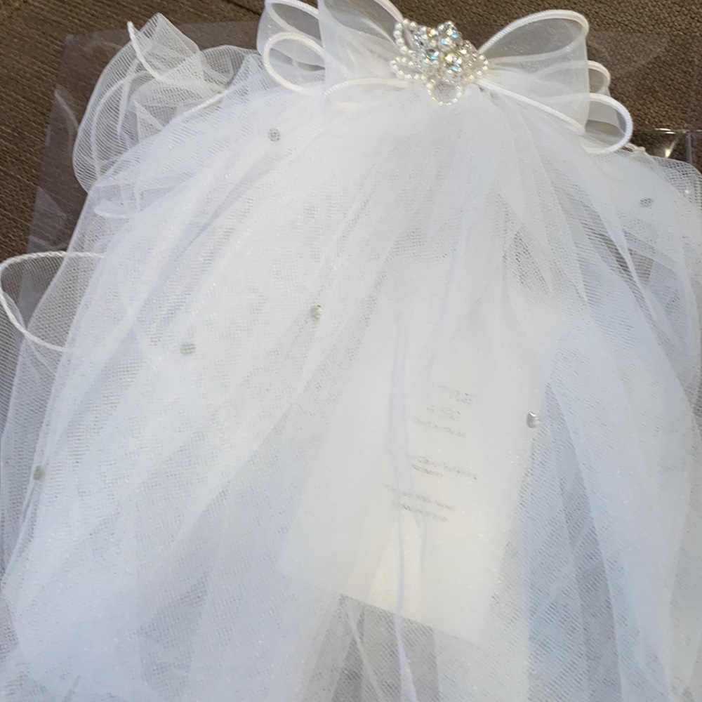 Veil - Picture 2 of 5